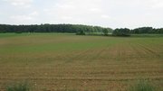 Bauende auf der L 1165 nördlich von Beimerstetten Ein Feld