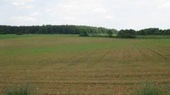 Ein Feld