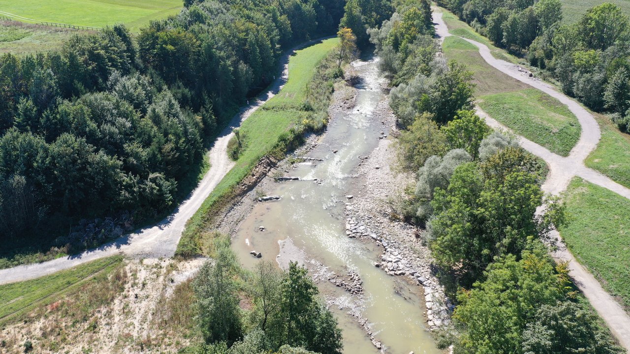 Blick auf die Argen in Abschnitt 6 Blick auf einen naturnahen Uferbereich der Argeb. Der Fluss wird von Gehölzen umrahmt.