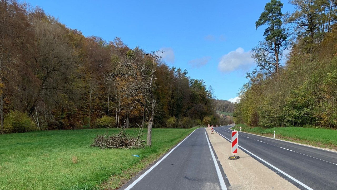 Das Bild zeigt die neu asphaltierte L 1208; in der Mitte Leitbaken; links und rechts Grünstreifen und Wald