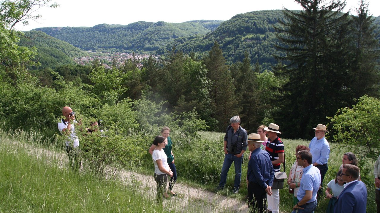 Das Bild zeigt Ministerpräsident Winfried Kretschmann, Regierungspräsident Klaus Tappeser und weitere Personen bei einer Wanderung im Biosphärengebiet