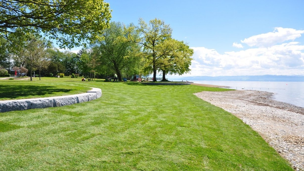 Bodenseeufer Eriskirch