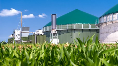 Biogasanlage Biogansanlage, im Vordergrund ein Maisfeld