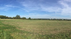 Panoramafoto eines Felds, das von Feldwegen eingerahmt ist. 