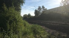 Ein Bahndamm