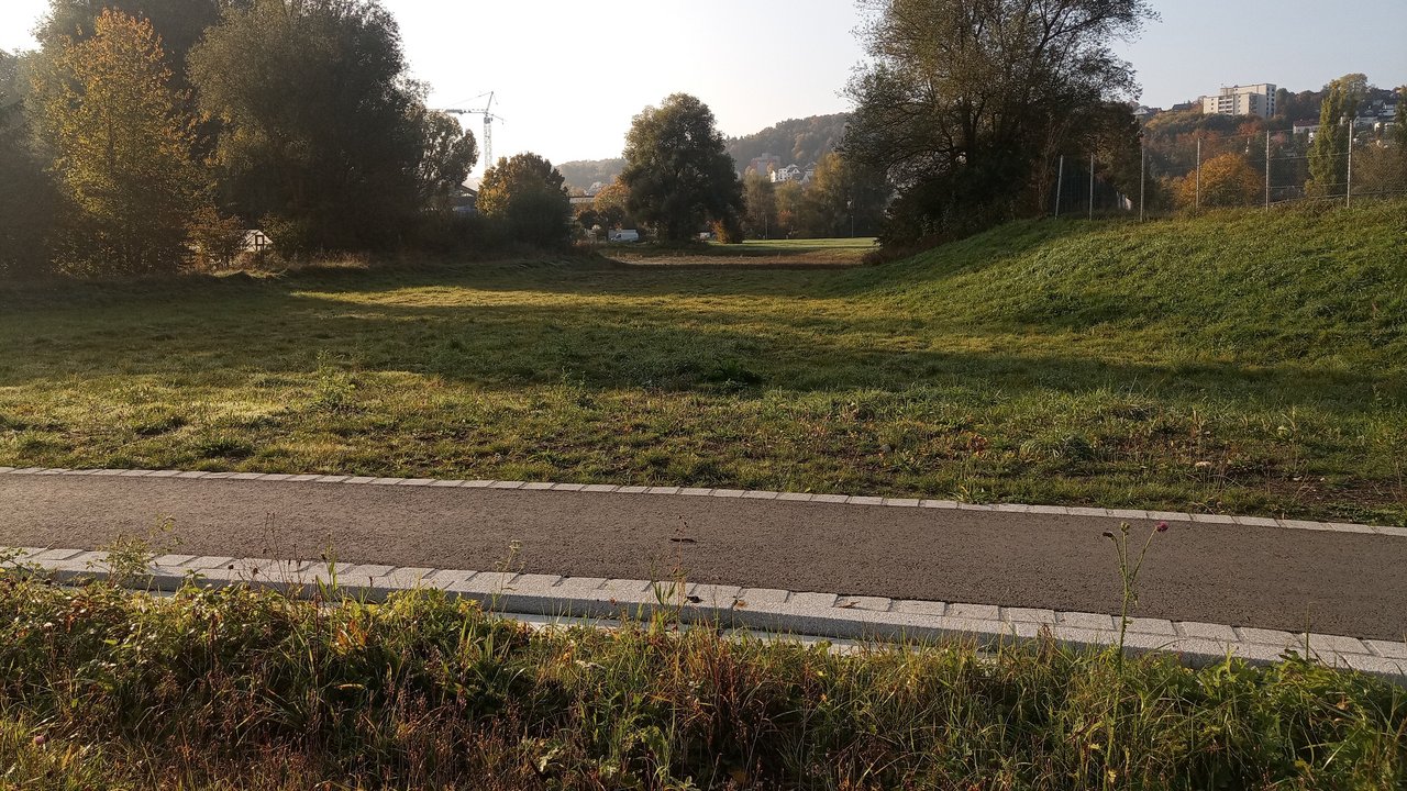 Das Foto zeigt die aktuelle Ansicht der Flutmulde bei Blaustein