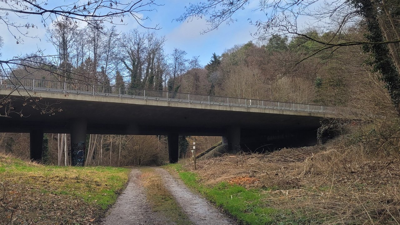 Das Bild zeigt die Brücke über den Goldbach.