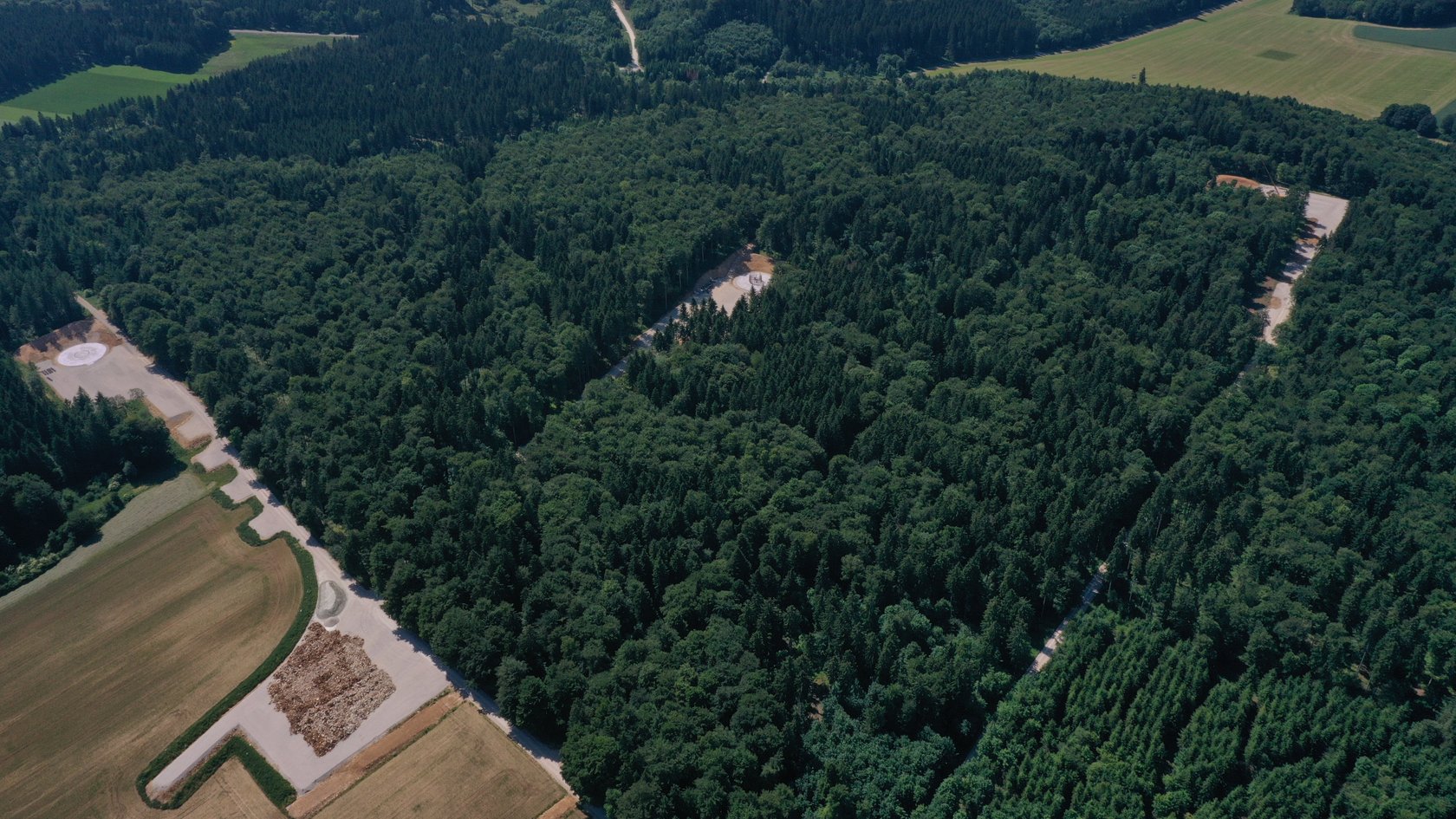 Drohenaufnahme_Wald