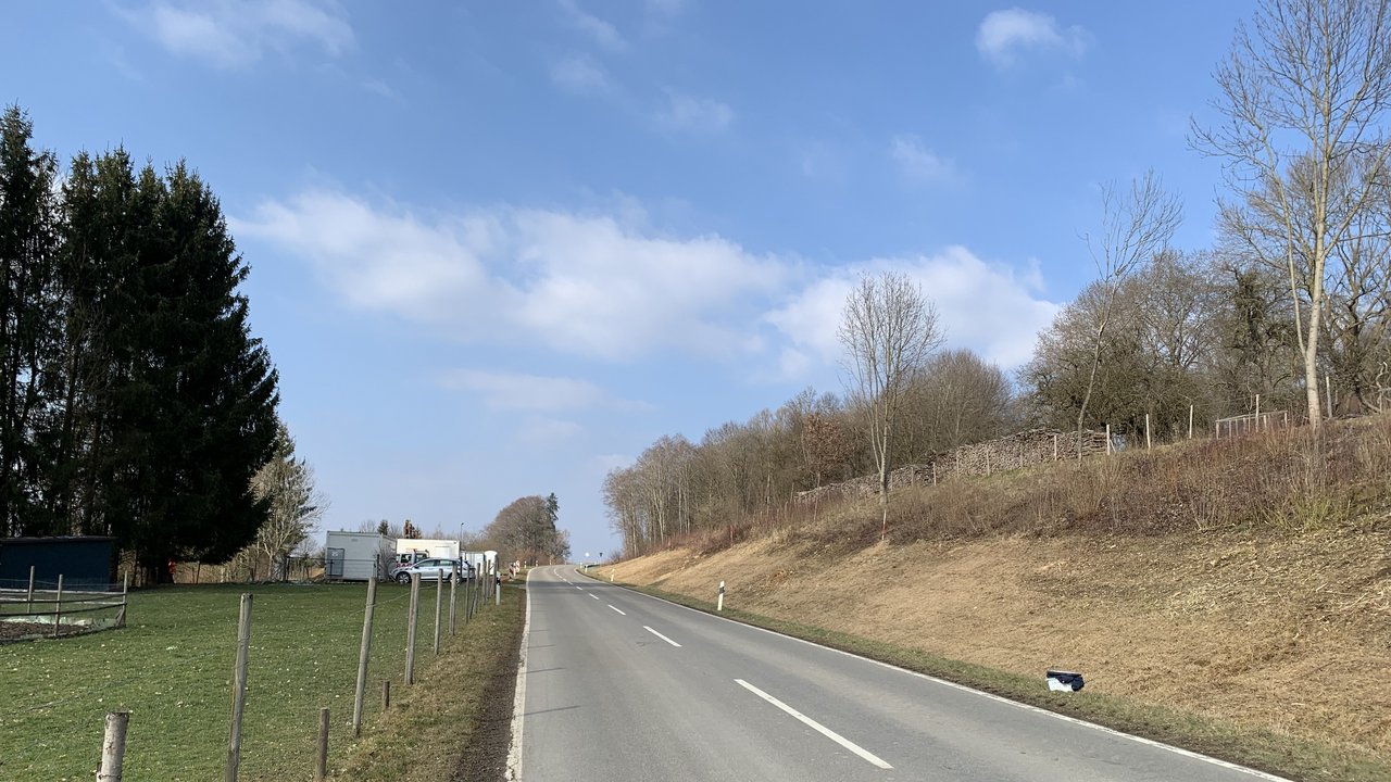 Man blickt auf eine gerade Straße. links und rechts Grünstreifen und Bäume