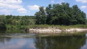 Uferabbruch Donau