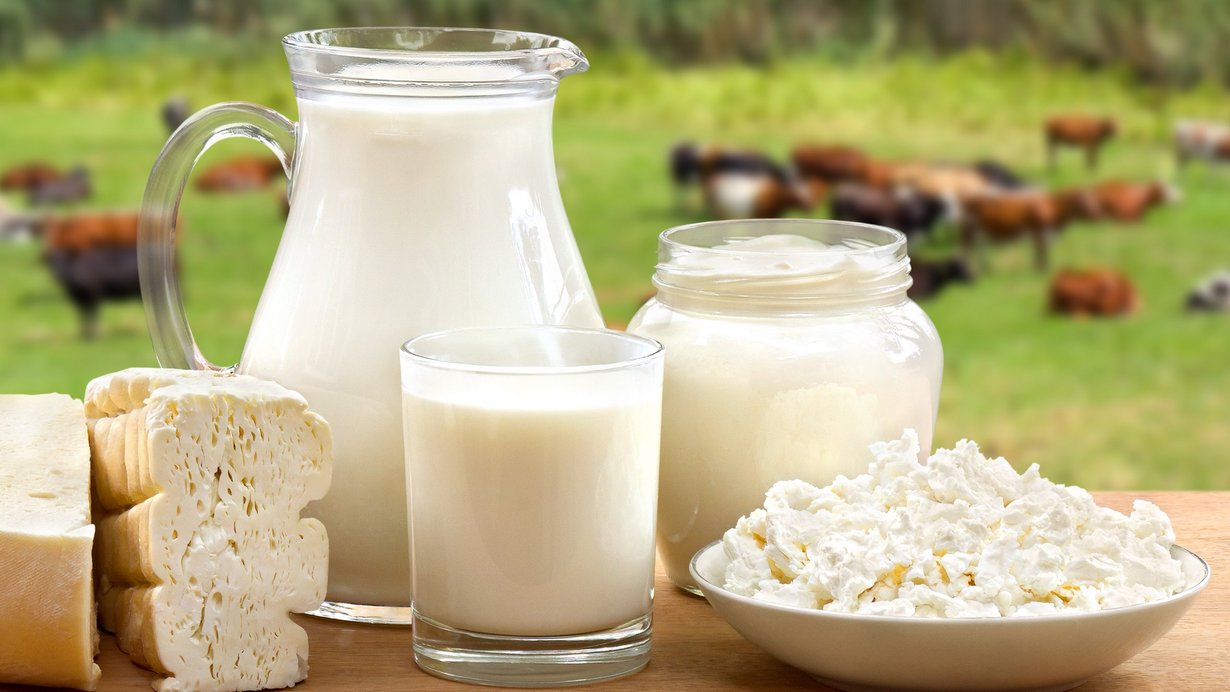 Milchprodukte vor einer Weide