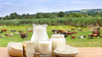 Milchprodukte vor einer Weide