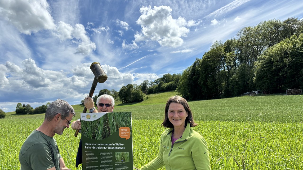 Das Foto zeigt eine Frau und zwei Männer auf einer blühenden Wiese bei der Aufstellung des Feldschildes zum Projekt "Blühende Äcker"
