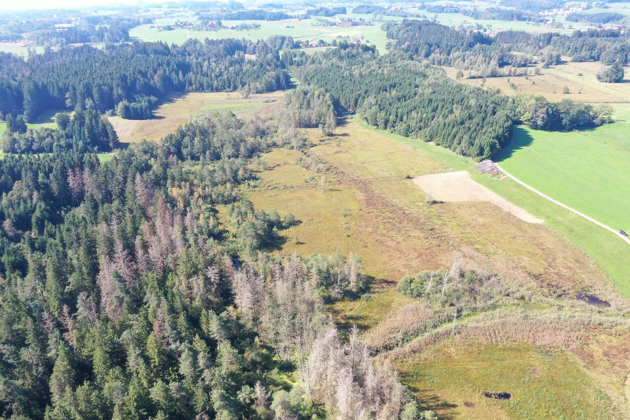 Das Foto zeigt Rotasweiher-Degermoos aus der Luft