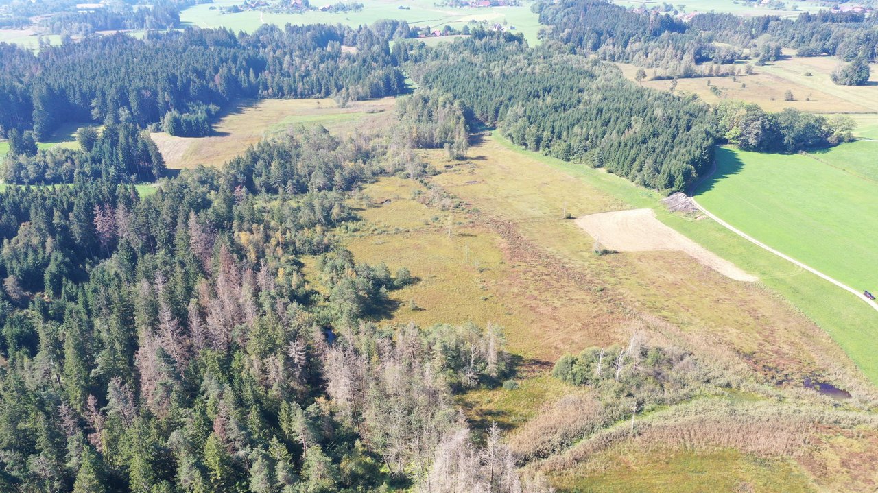 Das Foto zeigt Rotasweiher-Degermoos aus der Luft