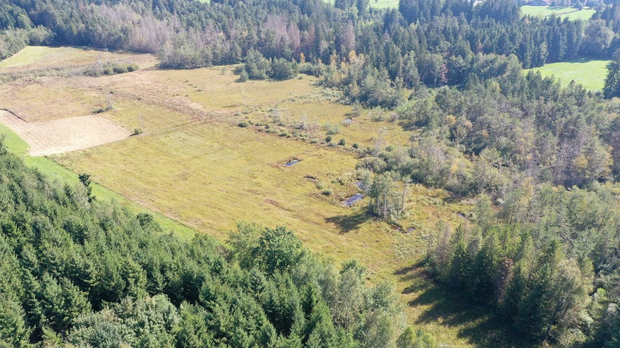 Das Foto zeigt Wiesen und Felder des Naturschutzgebiets Rotasweiher-Degermoos aus der Luft