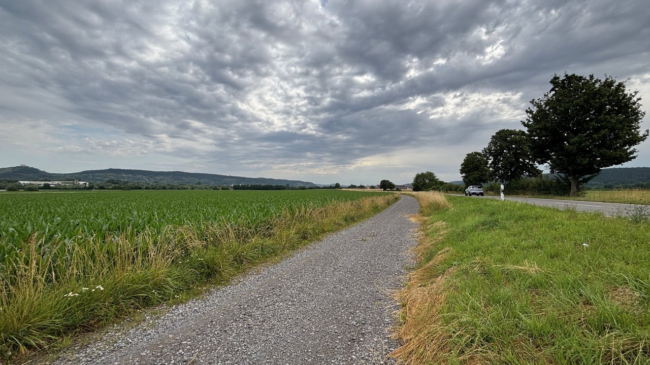 Das Foto zeigt die L 370 zwischen Rottenburg und Tübingen. Daneben einen künftigen Wildbienensaum. Ein geschotterter Landwirtschaftsweg und ein Maisfeld. Im Hintergrund die Wurmlinger Kapelle.