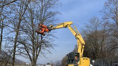 Ein Bagger, der mit einem Spezialwerkzeug Bäume neben einer Straße bearbeitet.