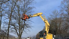 Ein Bagger, der mit einem Spezialwerkzeug Bäume neben einer Straße bearbeitet.