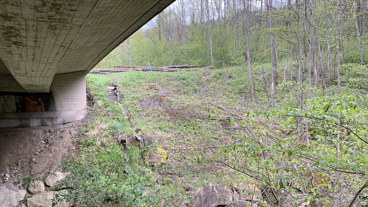 Das Foto zeigt die Eyachbrücke von unten. Im Hintergrund Wald