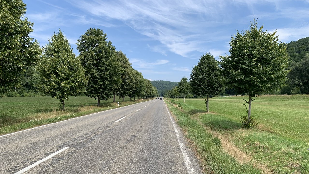Das Foto zeigt die Landesstraße 1208 zwischen Tübingen-Lustnau und Tübingen Bebenhausen. Rechts und link der Landstraße ist eine Wiese. 