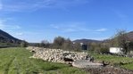Ein neu angelegtes Habitat für Zauneidechsen, bestehend aus einer Aufschüttung größerer Steine, auf einer Wiese.
