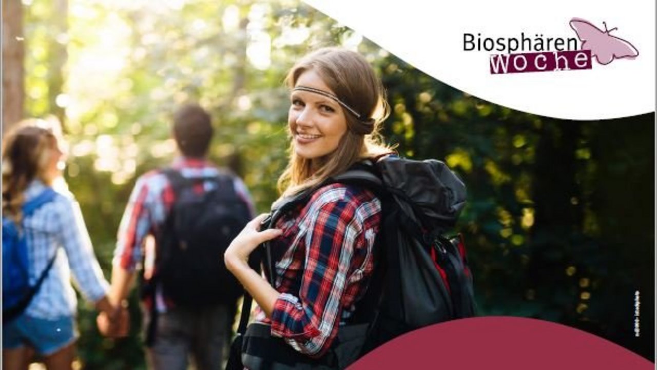 Das Foto zeigt Menschen im Wald beim Wandern