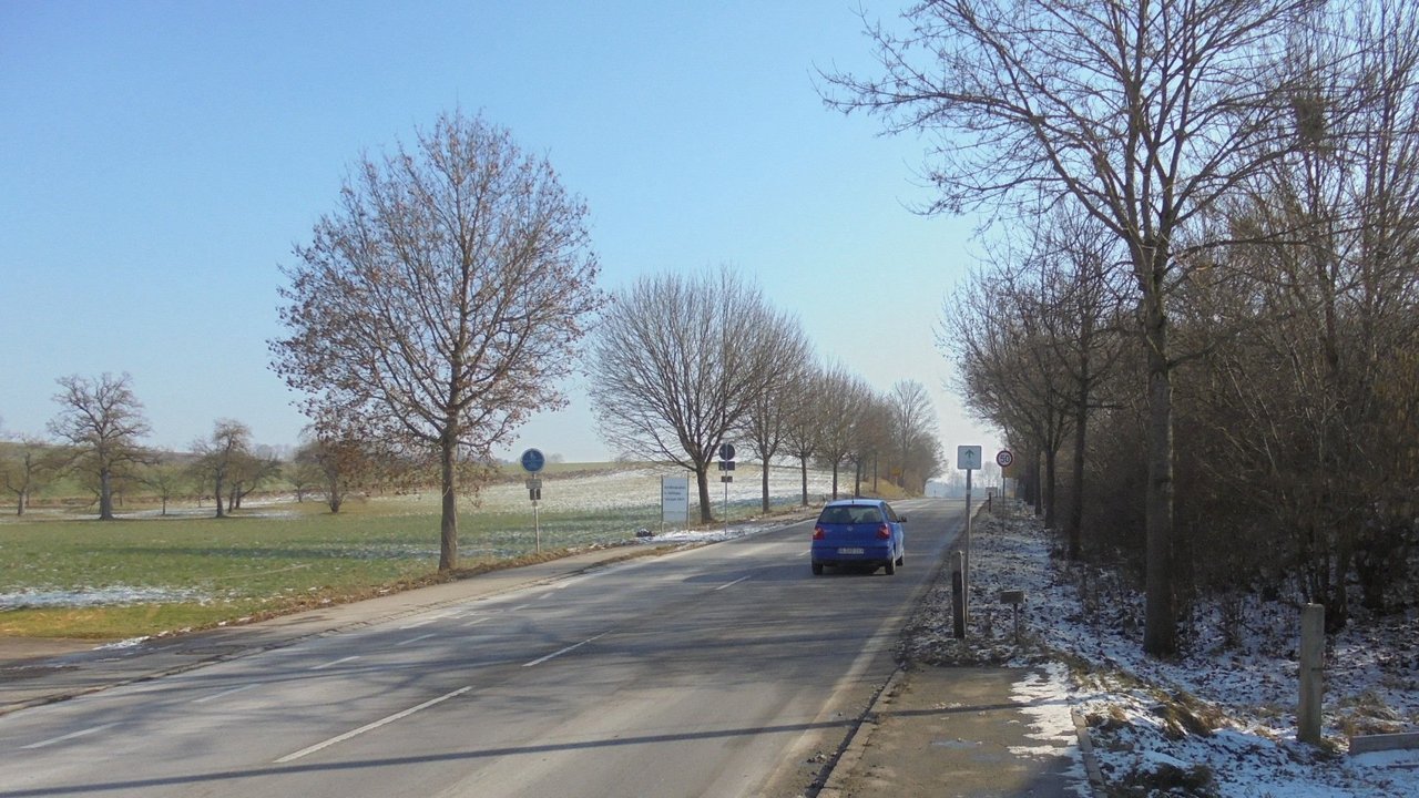 Man blickt auf einen geraden Straßenabschnitt vor einer Kuppe; links Baumwiesen und rechts Wald