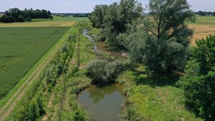 Eine Flussaue von oben