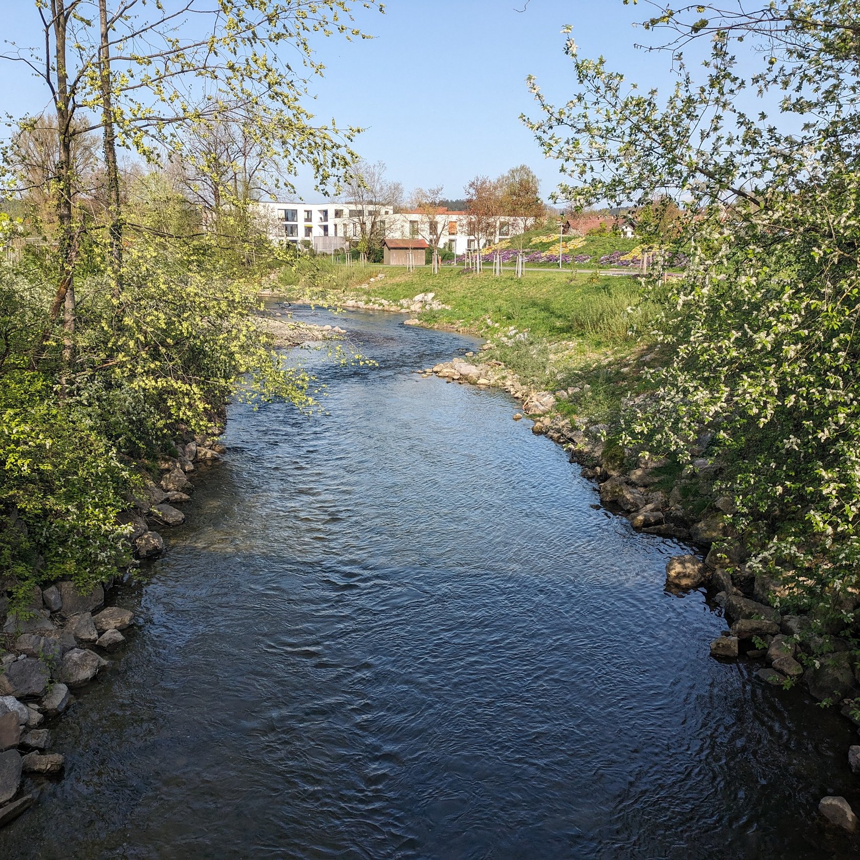 Blick auf die Argen, im Hintergrund die Stadt Wangen