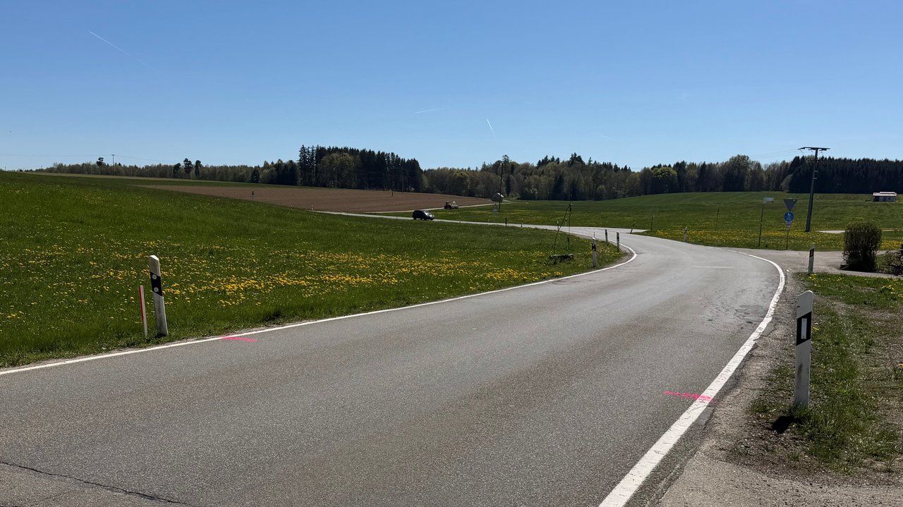 Das Foto zeigt die L 306 die durch eine ebene grüne Landschaft führt
