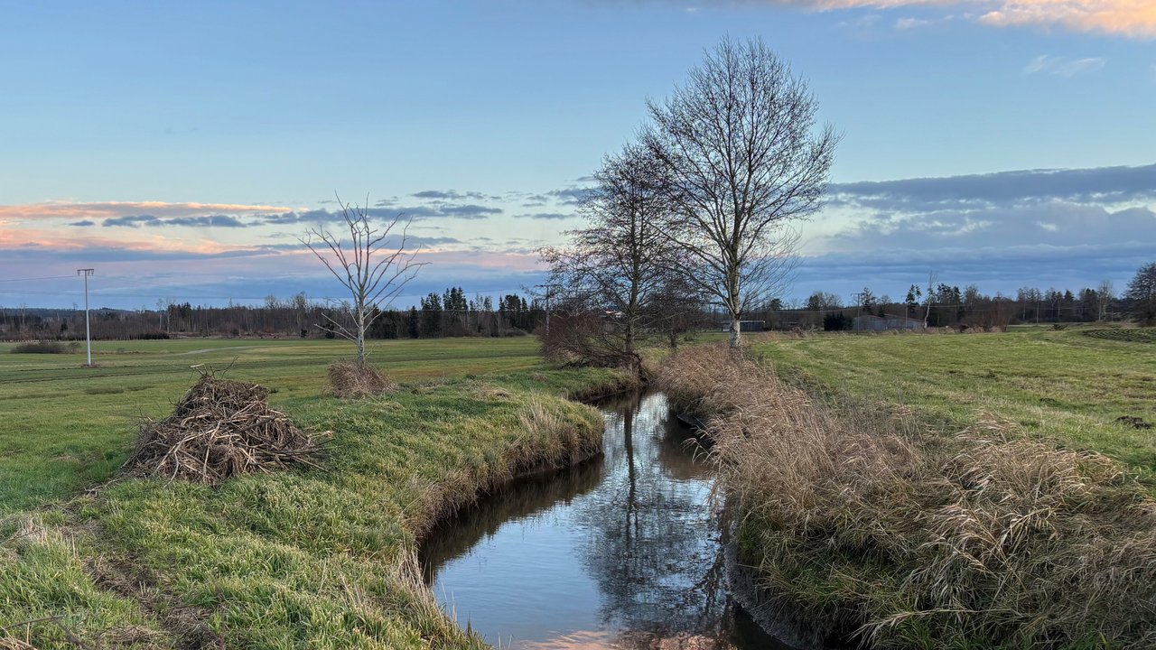 Landschaftsbild - blauer bis wolkiger Himmel, in der Mitte fliesst ein Bach mit Wiese links und rechts davon und im Hintergrund steht ein Baum.