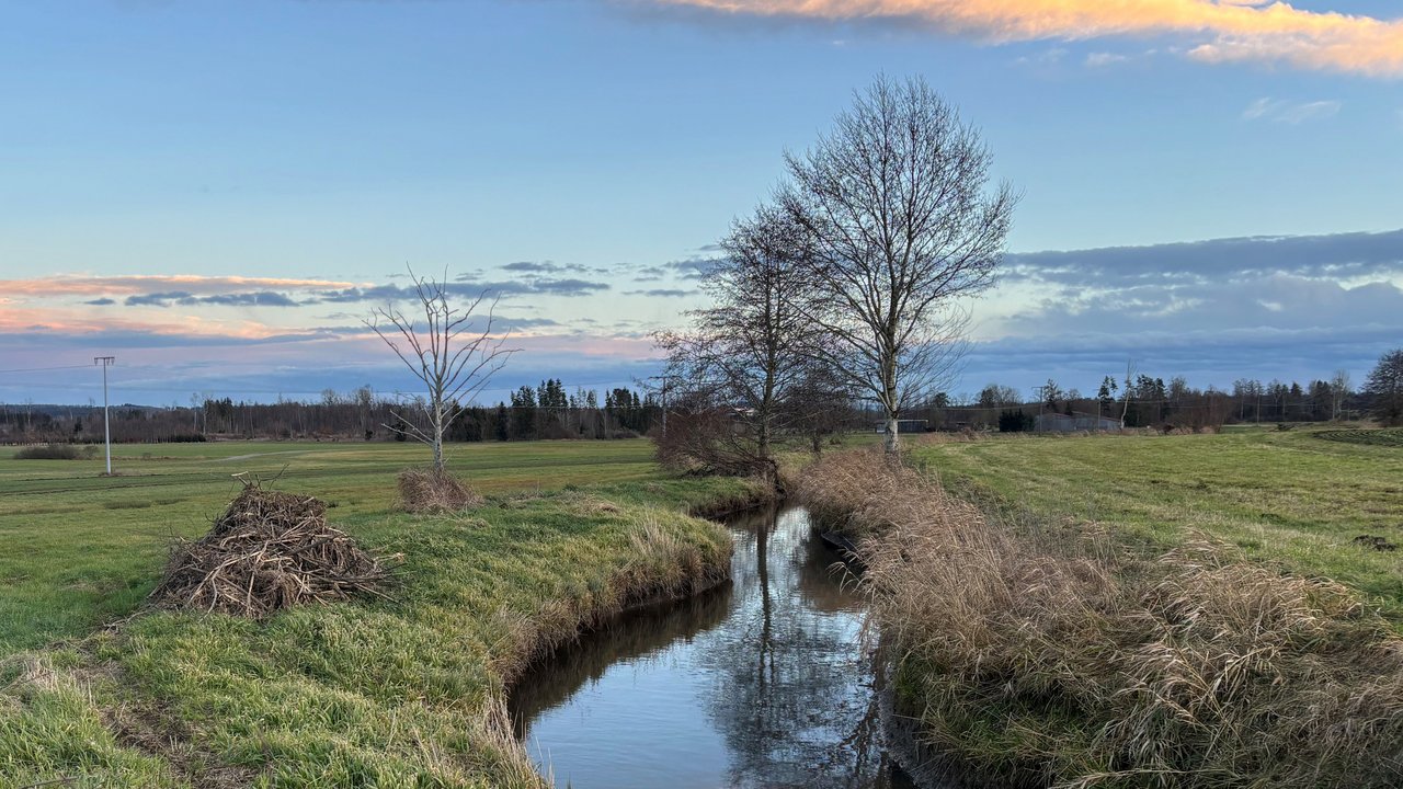 Landschaftsbild - blauer bis wolkiger Himmel, in der Mitte fliesst ein Bach mit Wiese links und rechts davon und im Hintergrund steht ein Baum.