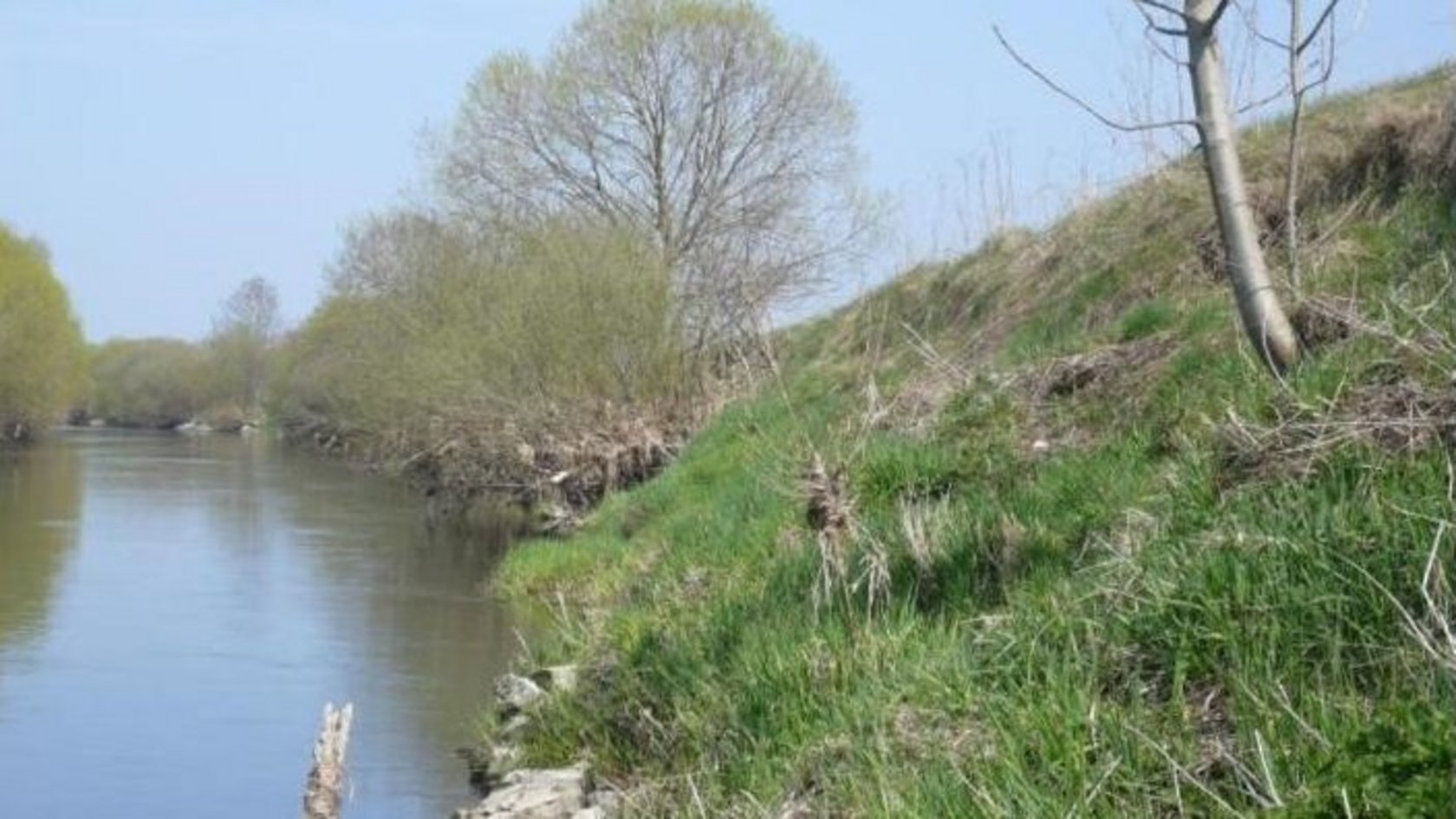 Blick auf das Ufer der Donau in Binzwangen