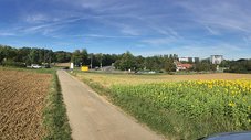 Ein Feldweg