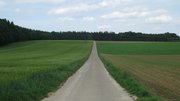 Querung des Fildeweges nördlich von Beimerstetten Ein Feldweg, der Richtung Wald führt