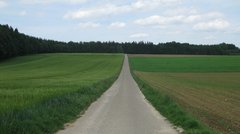 Ein Feldweg, der Richtung Wald führt