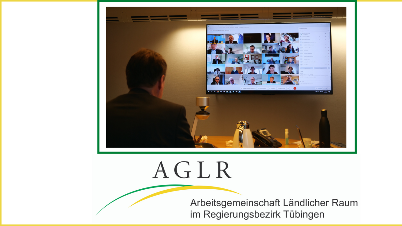 Blick auf die virtuelle AGLR-Sitzung - RP Tappeser im Vordergrund