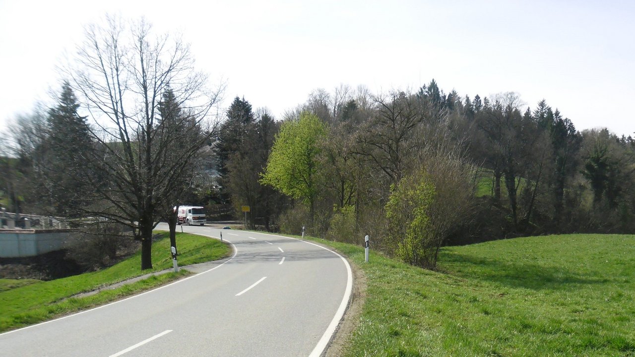 Man blickt auf die L331; links und rechts sieht man Wiesen im Hintergrund einen Wald