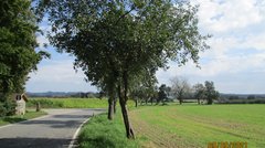 Straße neben einem Feld